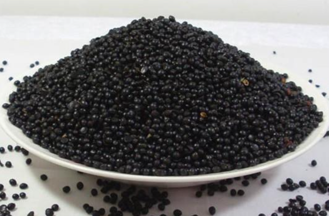 花椒籽的播种技术