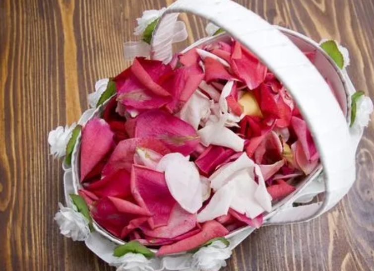鲜花花瓣能用来干什么