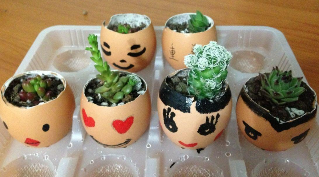 蛋壳养花怎么处理