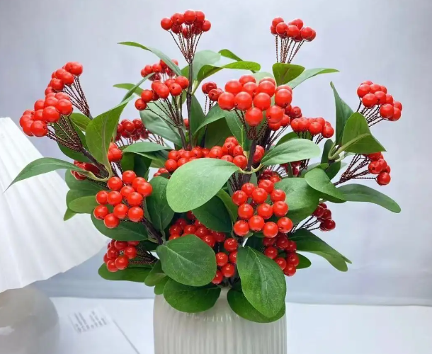 红豆火龙珠花期是多久