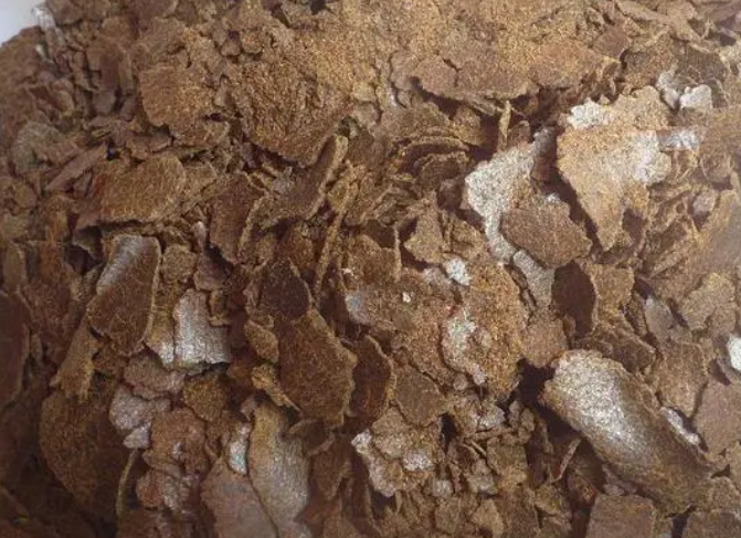 菜籽饼可以养花吗