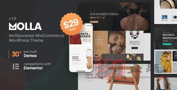 Molla 1.5.13汉化中文版|多功能电子商务WooCommerce WordPress主题模板插图 Molla 1.5.13汉化中文版|多功能电子商务WooCommerce WordPress主题模板