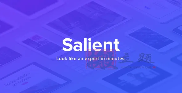 Salient 17.3.0汉化中文版|创意酷炫多功能响应式WordPress企业主题模板插图 Salient 17.3.0汉化中文版|创意酷炫多功能响应式WordPress企业主题模板