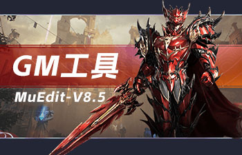 奇迹GM工具MuEdit-V8.5 正式版 by ICE
