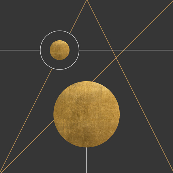 黄金配色&黄金分割VI案例