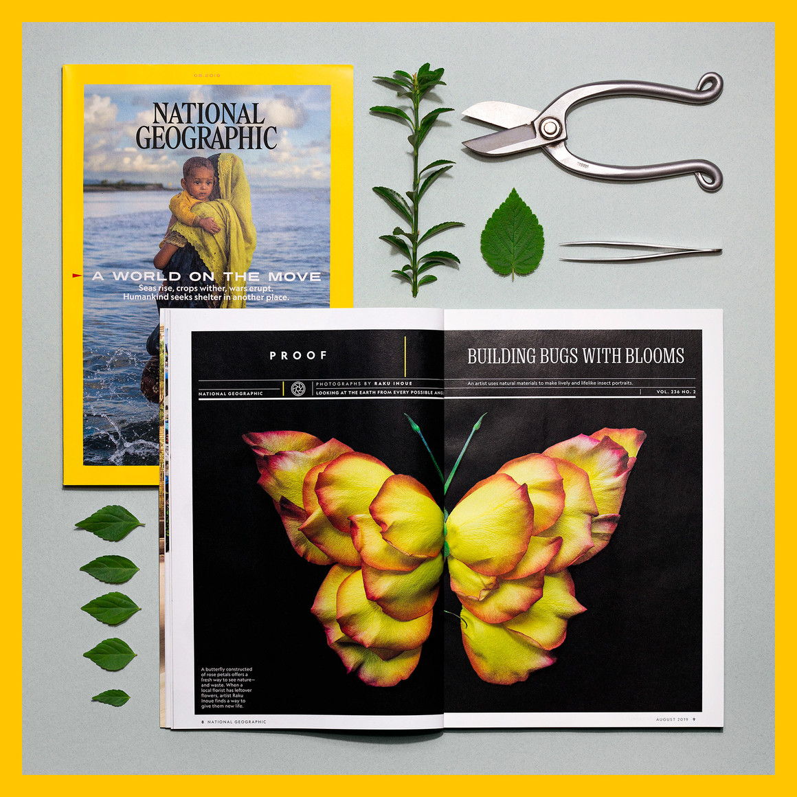 标本创意手工艺术作品