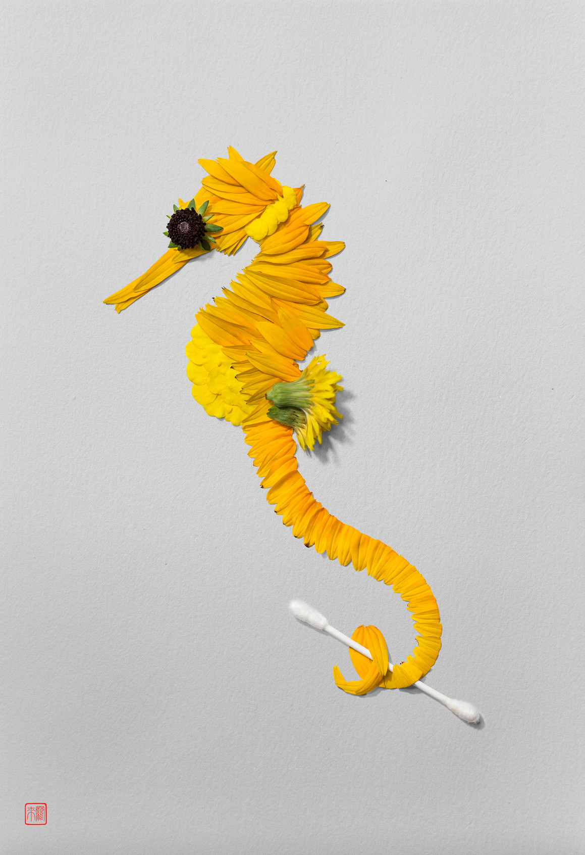 标本创意手工艺术作品