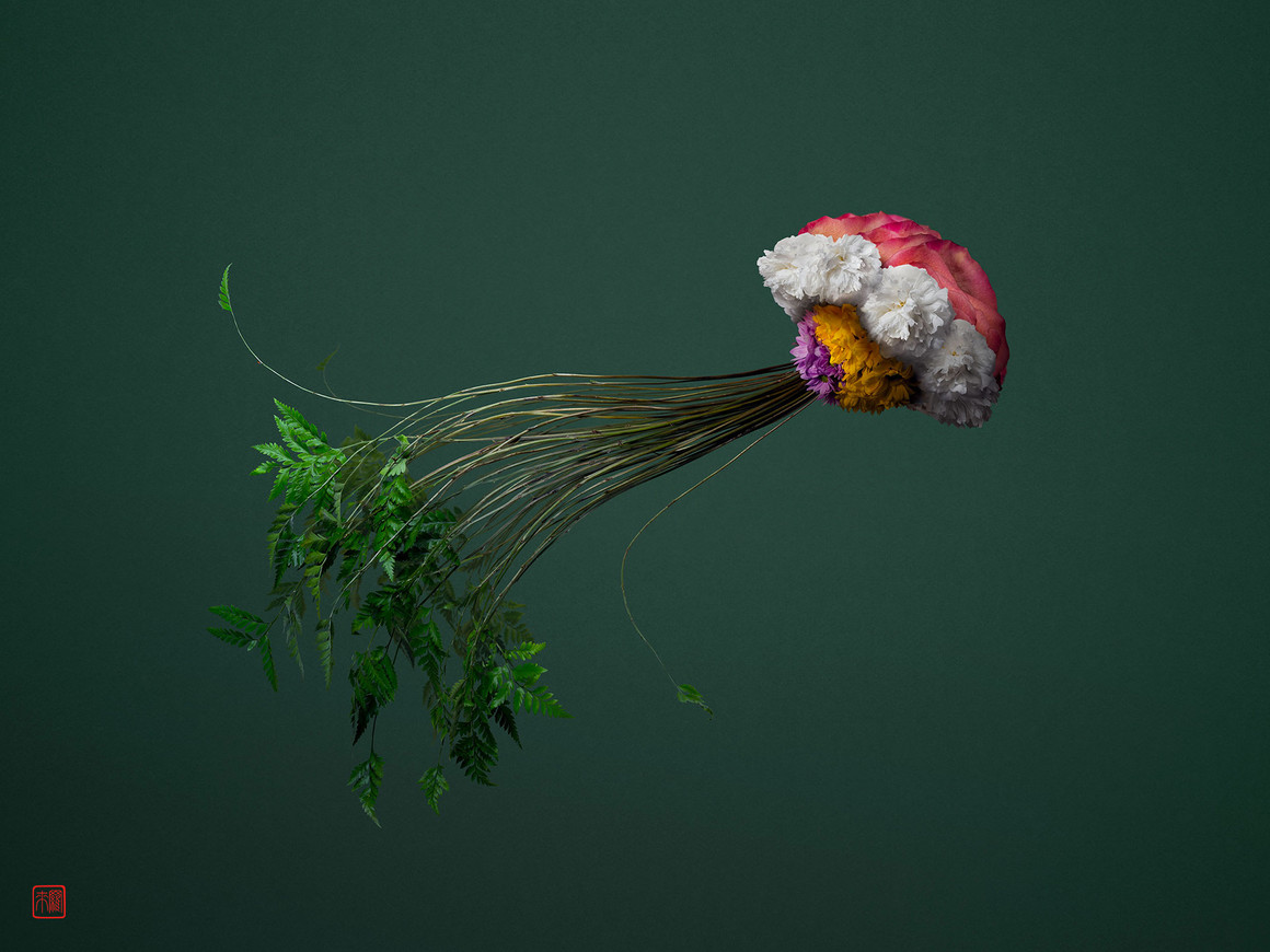 标本创意手工艺术作品