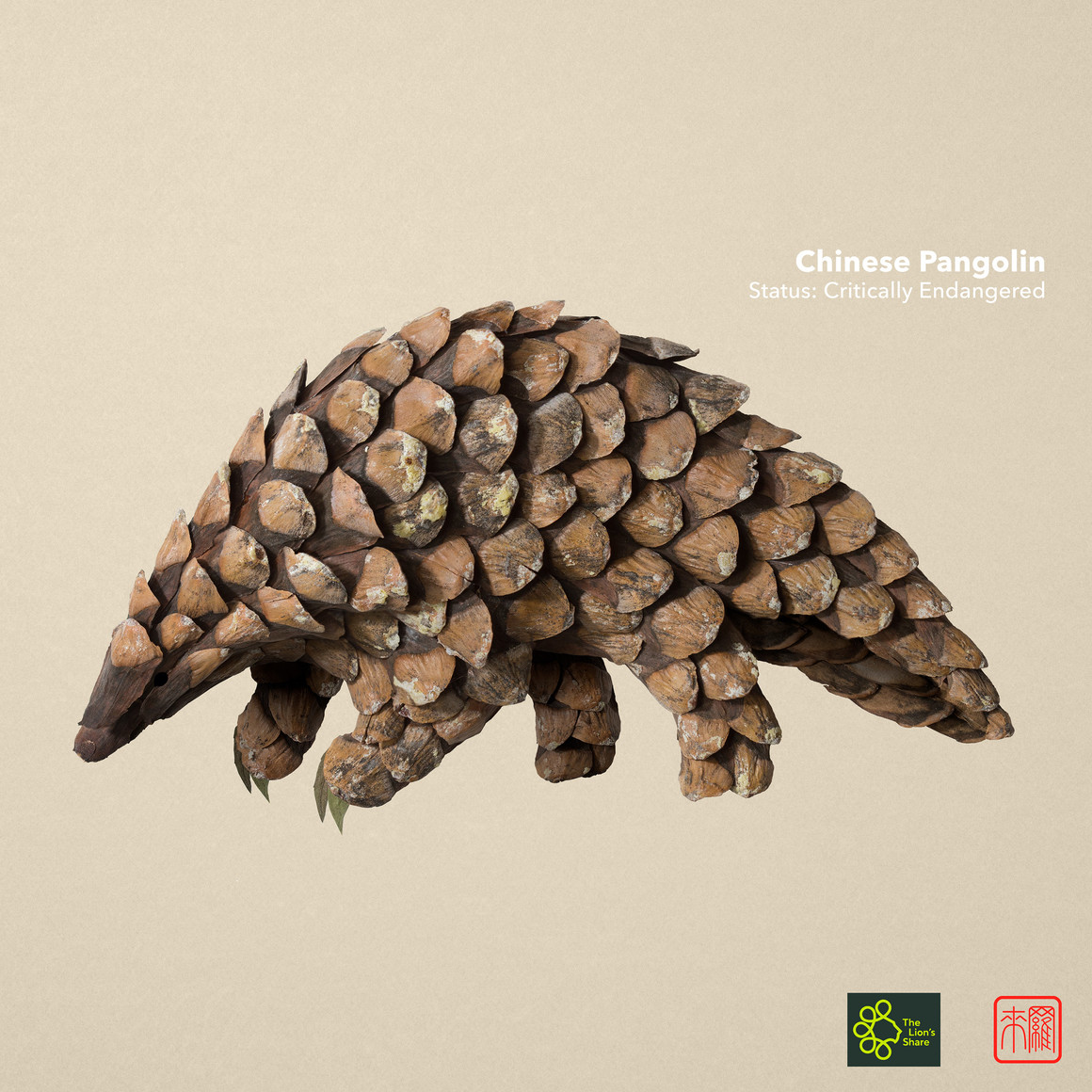 标本创意手工艺术作品