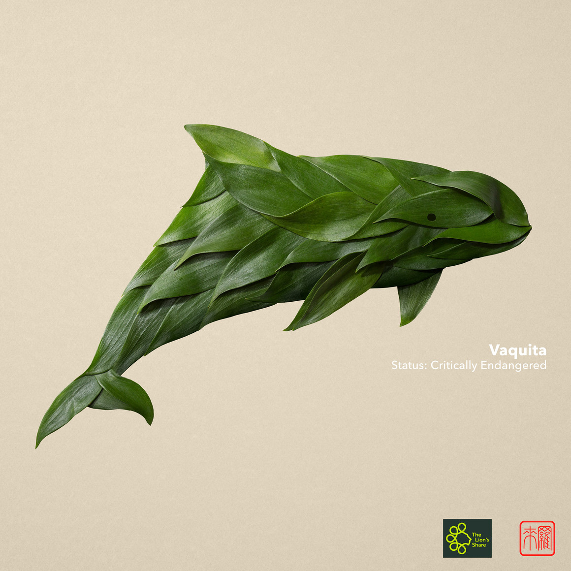 标本创意手工艺术作品