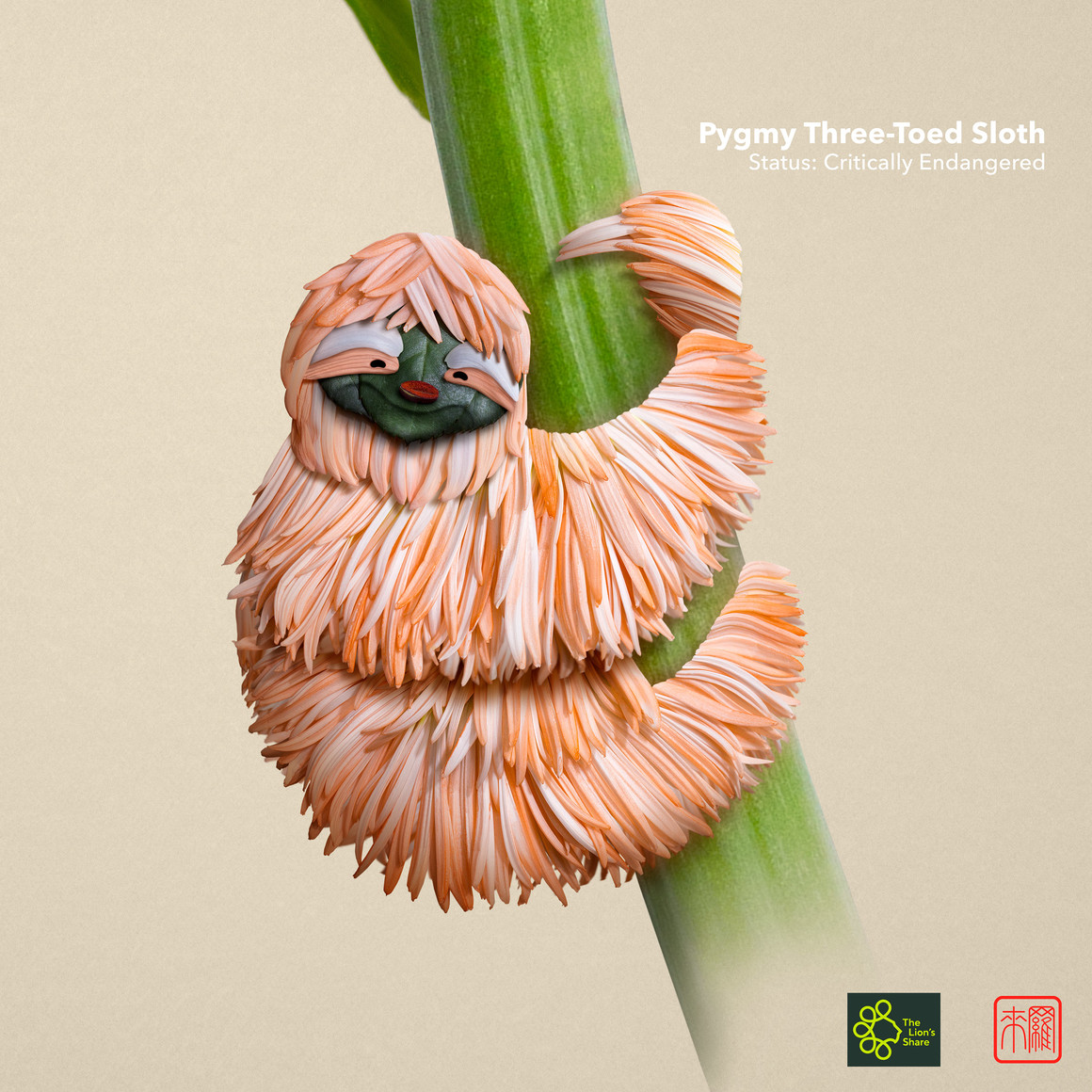 标本创意手工艺术作品