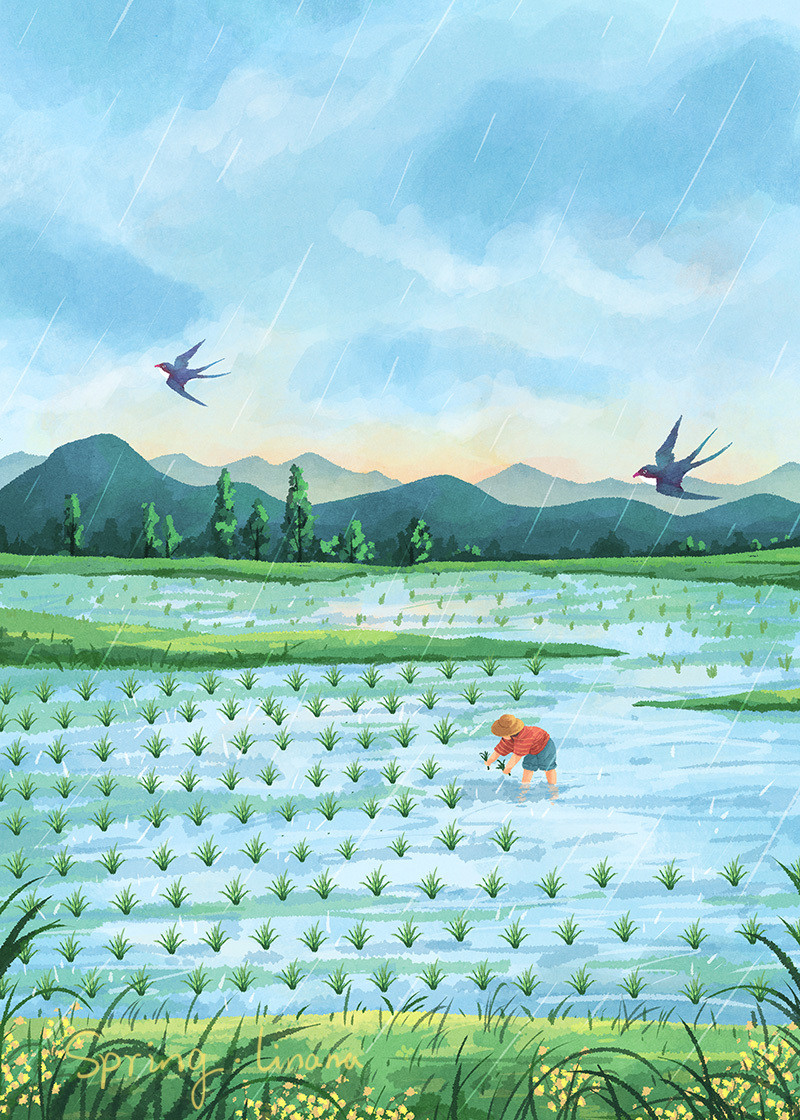 春去秋来 等一树花开-一年四季的色彩手绘插画