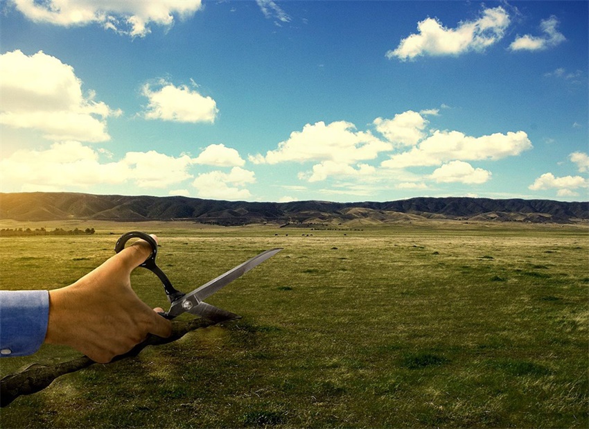 源于生活的简单创意合成作品