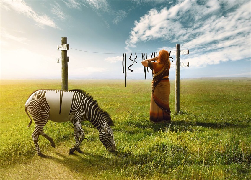 源于生活的简单创意合成作品