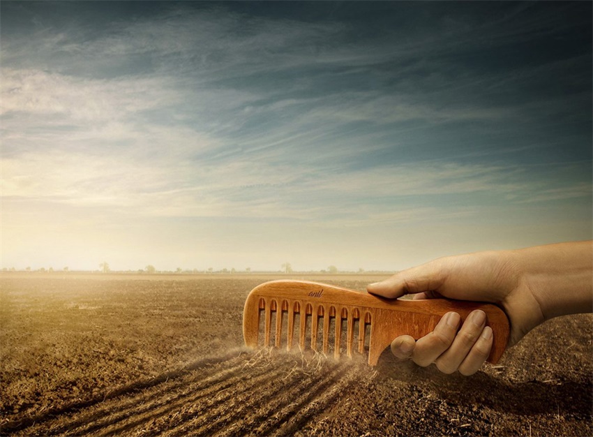 源于生活的简单创意合成作品