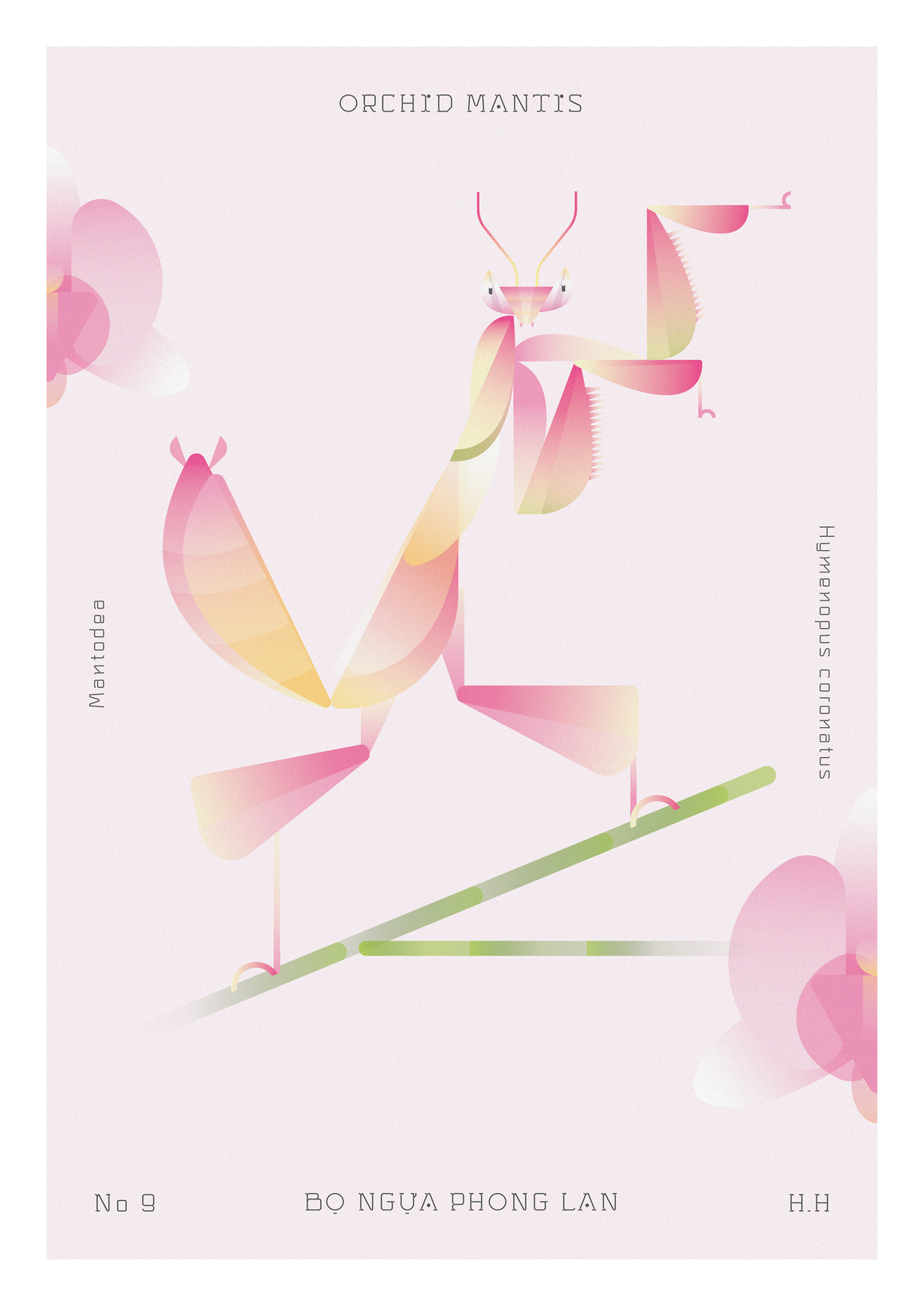 昆虫世界收藏-干净的几何渐变版画