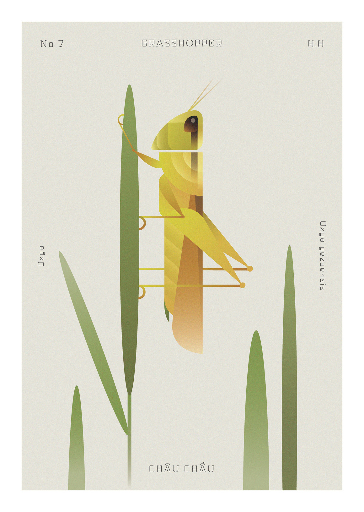 昆虫世界收藏-干净的几何渐变版画