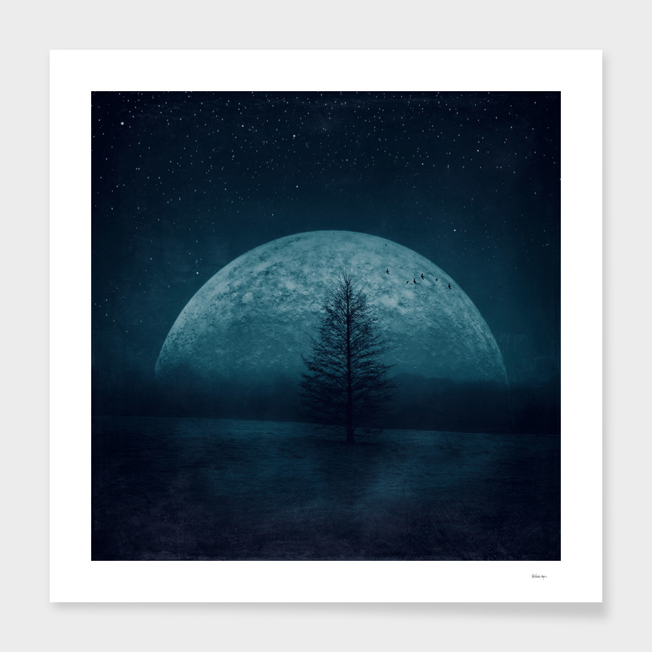 Dirk Wüstenhagen-摄影作品