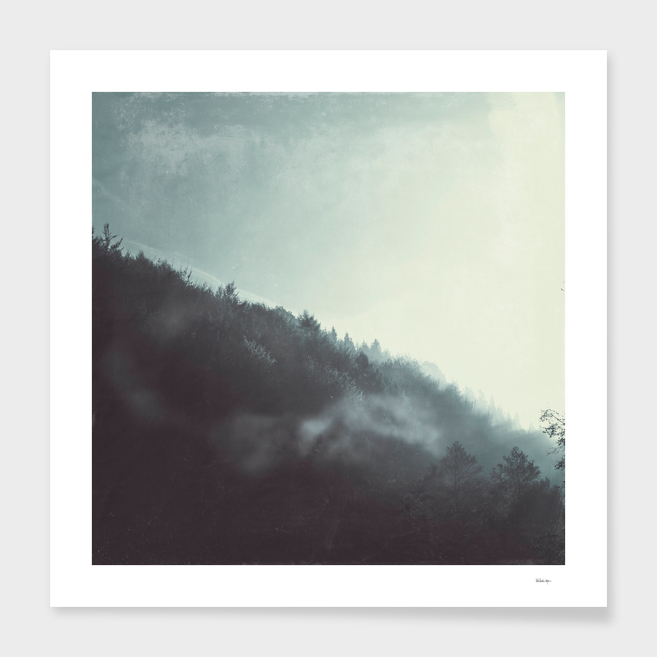 Dirk Wüstenhagen-摄影作品