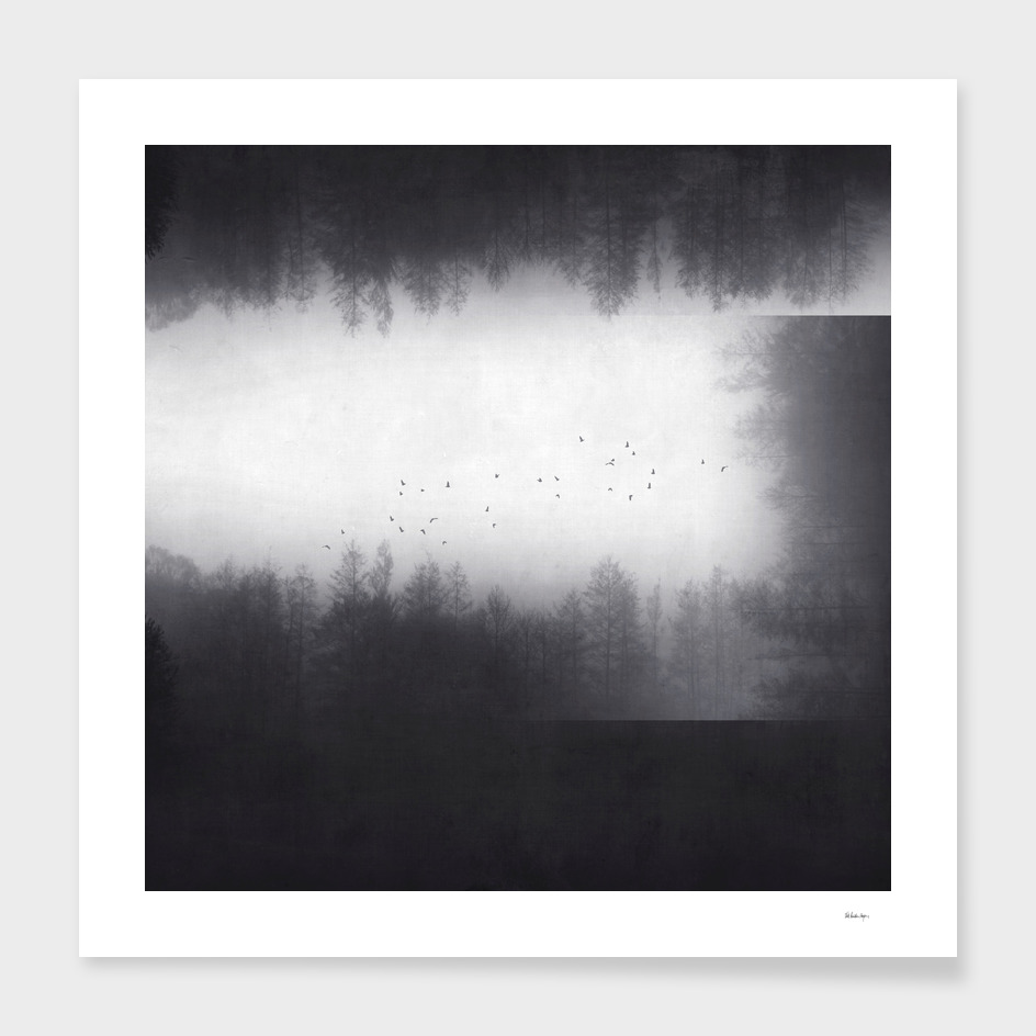 Dirk Wüstenhagen-摄影作品