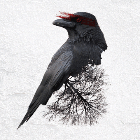 动态双曝光作品Cinemagra