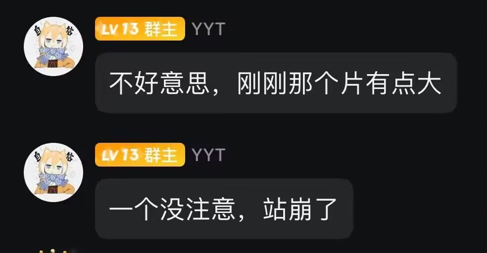 片有点大