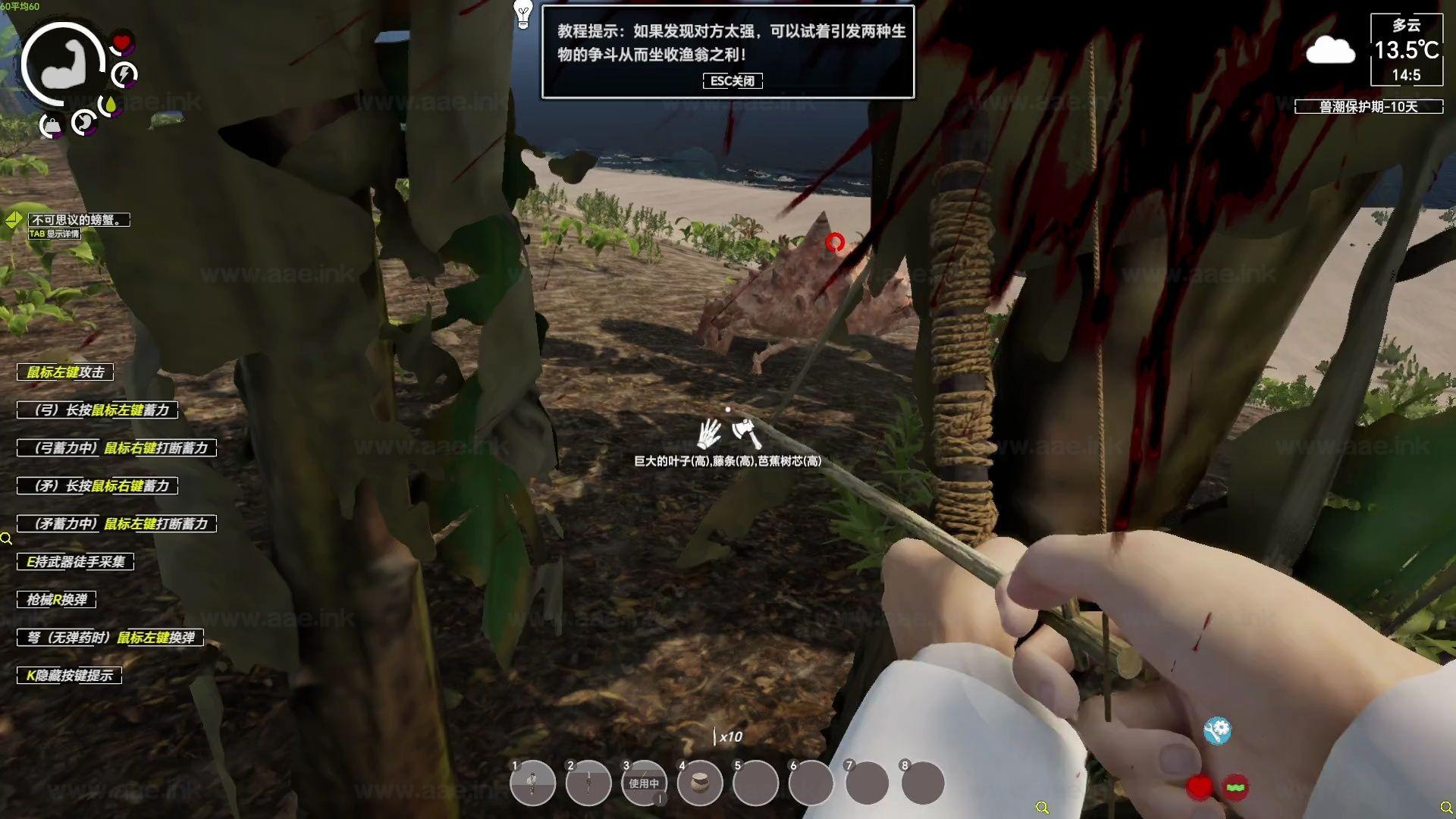 图片[4]_《孤岛笔记/Island Notes》Steam经典推荐+动作冒险+打猎建造+角色扮演+荒岛生存+五国语言自由切换_Aae_Source