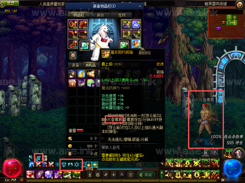 图片[10]_《DOF极简70v2.1》经典横版格斗类端游VM一键端版+安图恩掉落宝珠+宠物异界装备+异次元裂缝深渊+配套客户端_Aae_Source