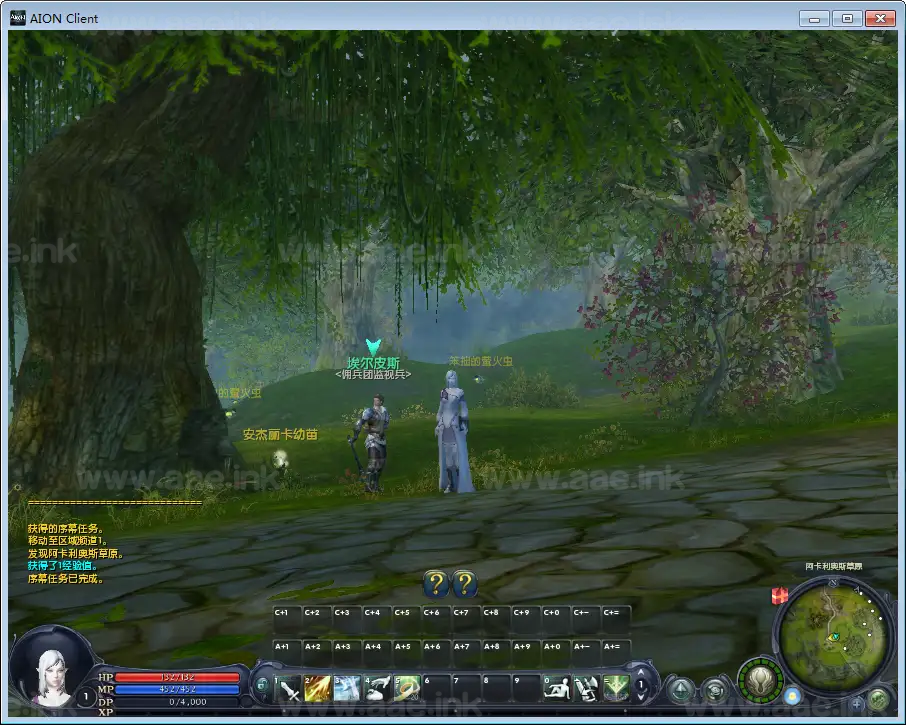 图片[9]_《永恒之塔3.5精修版》经典3D魔幻MMORPG端游Win一键服务端+GM指令+PC客户端+详细搭建教程_Aae_Source