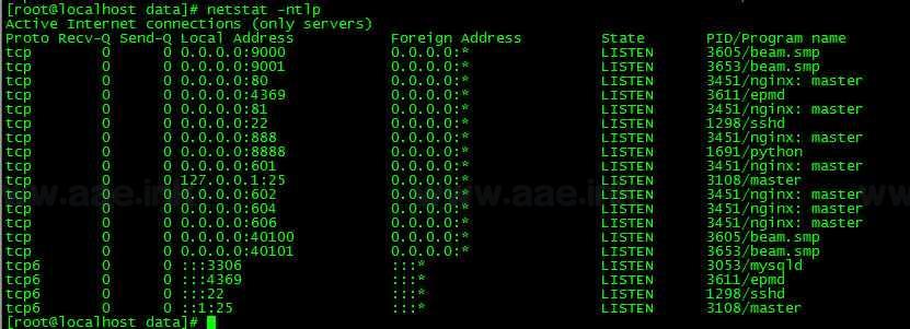 图片[10]_《植物大战僵尸》经典闪烁换皮稀有卡牌手游服务端+Linux手工服务端+安卓苹果双端+CDK后台+详细搭建教程_Aae_Source