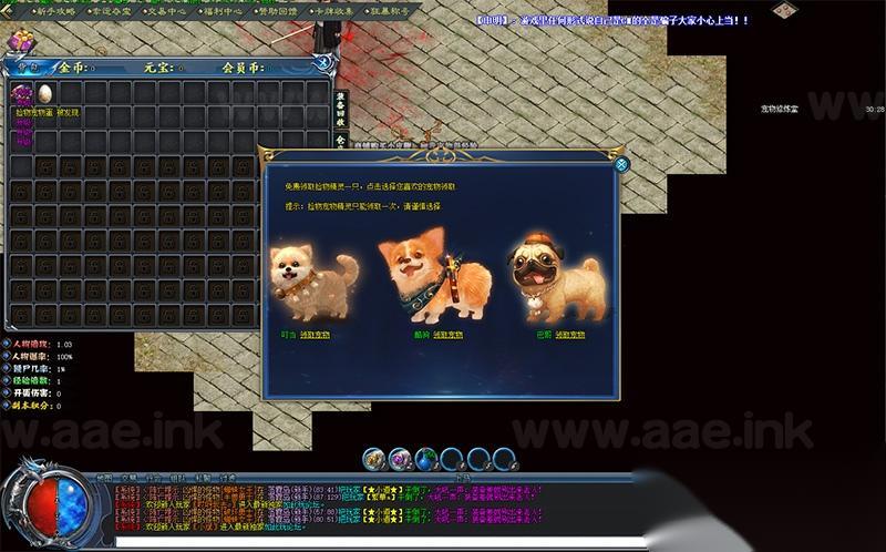 图片[10]_【一键安装】破军神宠暗黑传奇3职业单机版+宠物合成+自动拾取+超智能假人+GEE引擎+GM工具+使用教程+视频语音安装教程_Aae_Source