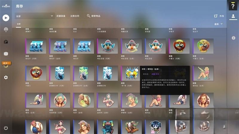 图片[5]_【一键安装】最新CSGO单机版第2版+超智能AI机器人+假人练习赛+全武器皮肤道具喷涂人物+一键启动教程+视频教程_Aae_Source