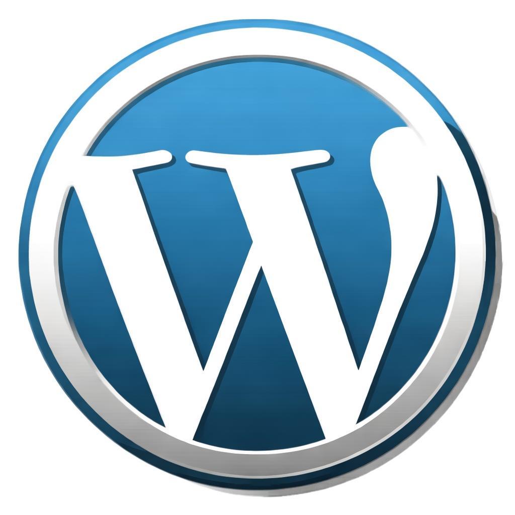 WordPress CDN加速：提升网站性能的终极指南-倾慕云小窝