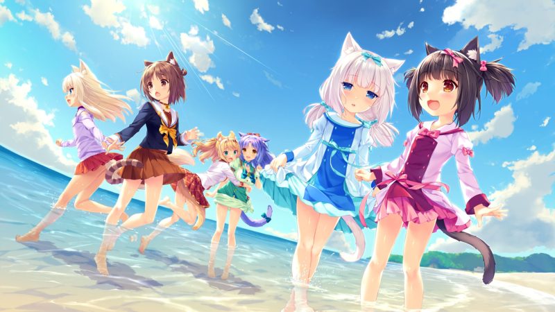 图片[1]-每日壁纸合集 2025年11月16日 00:02-倾慕云小窝