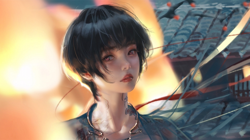 图片[2]-每日壁纸合集 2026年01月12日 00:00-倾慕云小窝