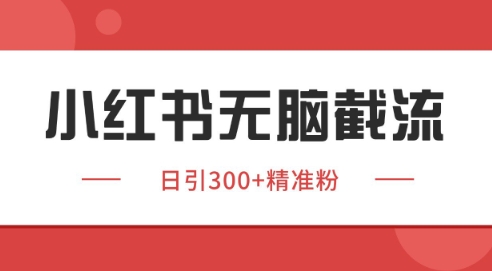 小红书截流同行客源，独家野路子获客玩法 日引200+暴力获客【揭秘】-倾慕云小窝