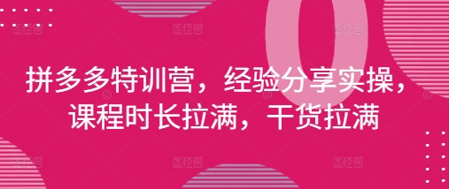 拼多多特训营，经验分享实操，课程时长拉满，干货拉满(更新25年4月)-倾慕云小窝