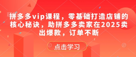 拼多多vip课程，零基础打造店铺的核心秘诀，助拼多多卖家在2025卖出爆款，订单不断-倾慕云小窝
