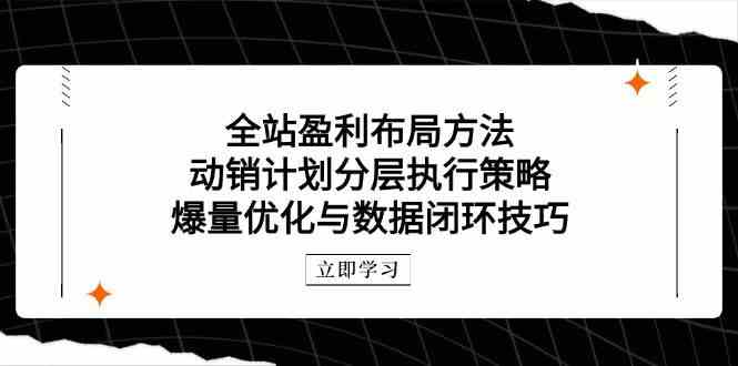 全站盈利布局方法：动销计划分层执行策略，爆量优化与数据闭环技巧-倾慕云小窝
