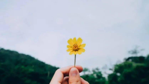 天秤座的人在感情中专情吗？-倾慕云小窝