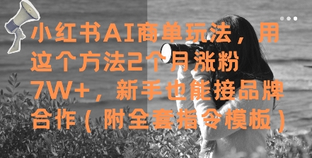 小红书AI商单玩法，用这个方法2个月涨粉7W+，新手也能接品牌合作(附全套指令模板)-倾慕云小窝