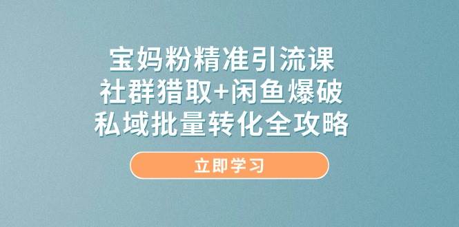 宝妈粉精准引流课，社群猎取+闲鱼爆破，私域批量转化全攻略-倾慕云小窝