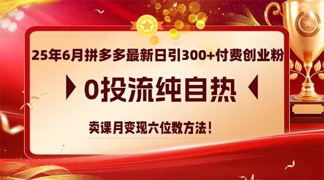 （14989期）25年6月拼多多最新日引300+付费创业粉，0投流纯自热 卖课月变现六位数方法-倾慕云小窝