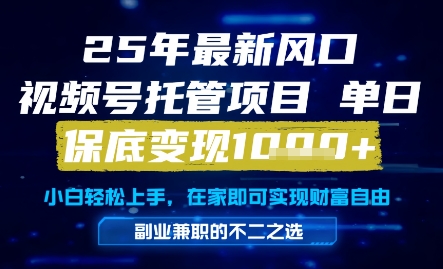25年最新风口，视频号托管项目，单日保底变现1k+，手把手教学【揭秘】-倾慕云小窝