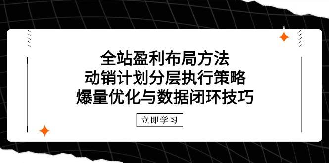 （14698期）全站盈利布局方法：动销计划分层执行策略，爆量优化与数据闭环技巧-倾慕云小窝