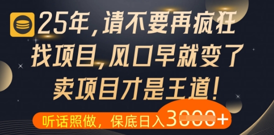 什么？25年你还在疯狂找项目做，醒醒吧，看完这些你全都懂了【揭秘】-倾慕云小窝