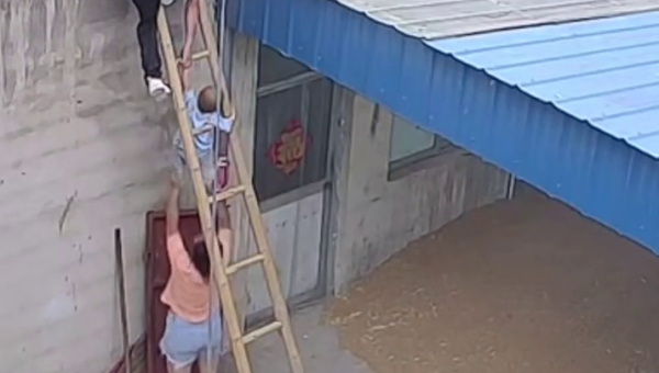 梦到自己的头发像藤蔓一样爬上高楼-倾慕云小窝