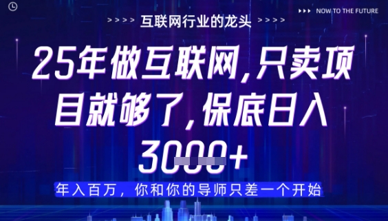 什么！25年你还在找项目做？风口早就变了，卖项目才是稳挣不赔【揭秘】-倾慕云小窝