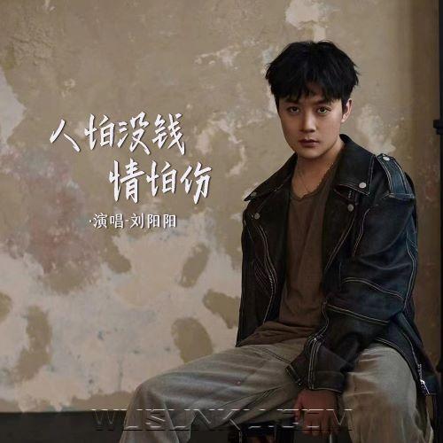 刘阳阳《人怕没钱情怕伤》[无损flac|320K高品质MP3]网盘下载