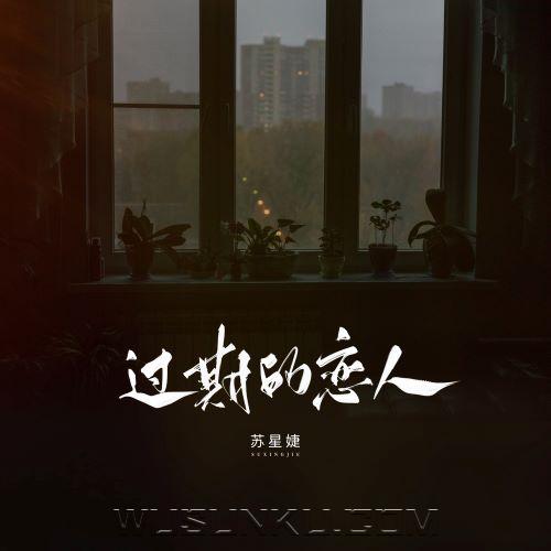 苏星婕《过期的恋人》[无损flac|320K高品质MP3]网盘下载